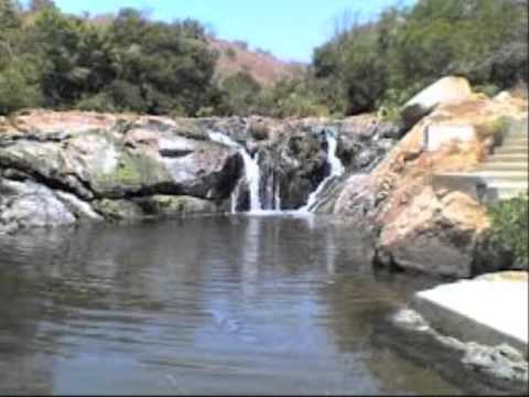 grupo La jungla  tropical mix DJ syrena