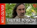 Neil Oliver: ‘…it’s BREAKING my heart!’
