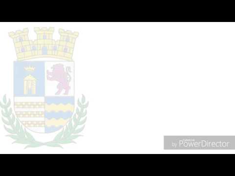 Levanta la bandera "jingle"