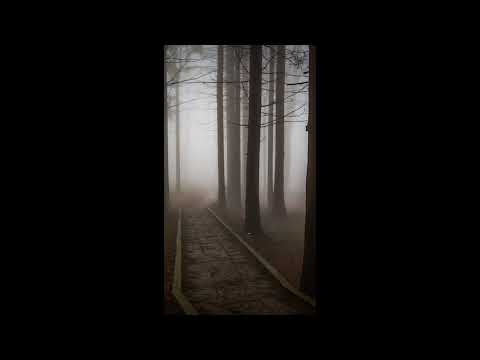 Deep Sleep Music | Healing Music | Meditation Music | Relaxation Music | Study Music | Zen Music 344