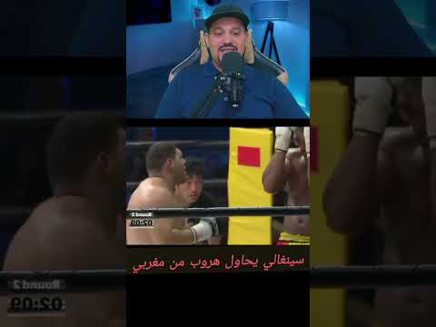 مغربي ضد سينغالي #marocaine #marocas #ufc #maroc #mma #boxing #boxing