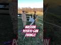 Massive Potato GUN Firing on the Farm