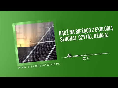 Rewolucja w Energii Odnawialnej  Nowoczesne Technologie Solarne i Wiatrowe | Wywiad z Ekspertem