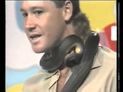 A classy Steve Irwin stays calm on TV after snake bite.