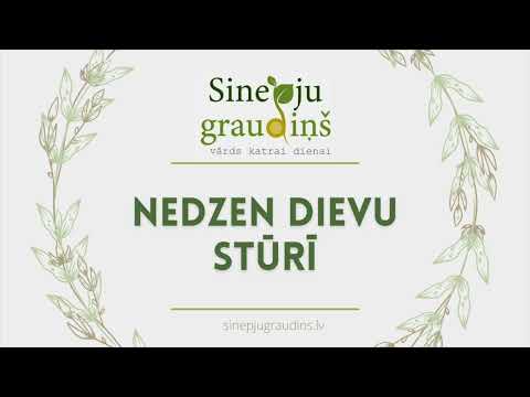 Sinepju Graudiņš // Nedzen Dievu Stūrī #154