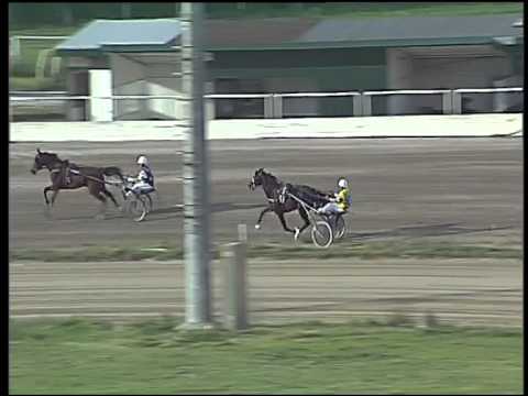 Trotto 19/04/2015 - Prova pubblica del cavallo  Rombo di Cannone