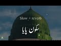 Sukoon Paya Slowed Reverb Ghulam Mustafa Qadri Naat