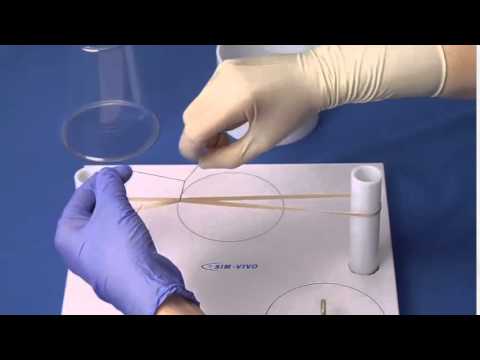 SIM*TIE – 5. Tying against resistance