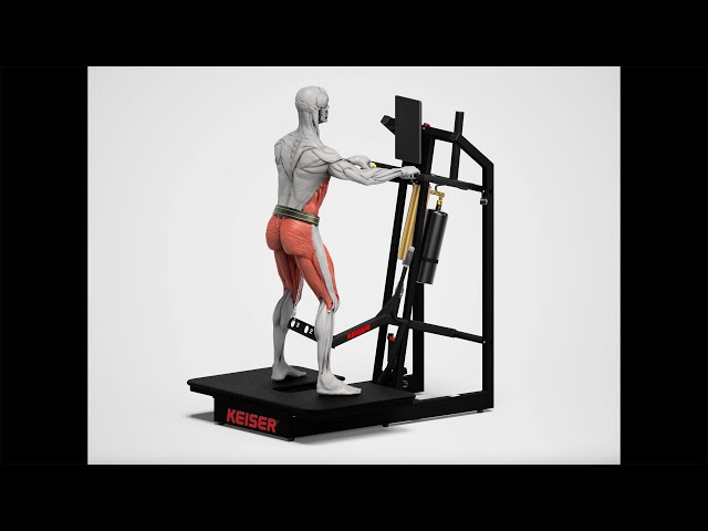 Keiser A400 Belt Squat 