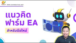 แนวคิดการฟาร์ม EA สำหรับมือใหม่ คืออะไร?