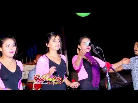 Solterito Enamorado  -  Esplendidos de Salvia Concierto en Rosas - Huarmaca - Fermín Producciones