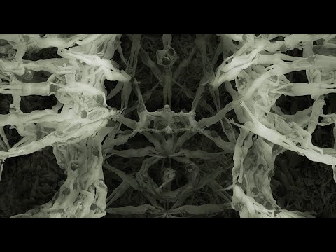 NAIAD by Angelo Musco- 2024