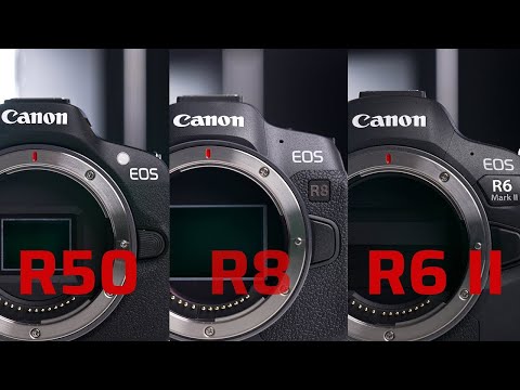 Canon EOS R50 vs Canon EOS R8 vs Canon EOS R6 II - Photo Universal
