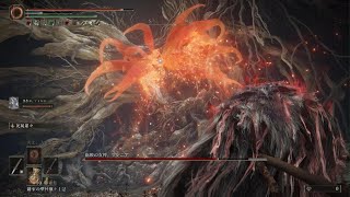 [ELDEN RING] vs.ミケラの刃、マレニア
