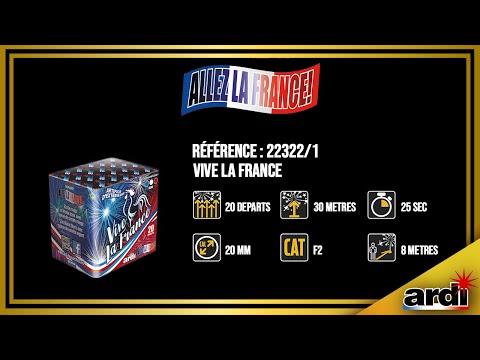 22322/1 - ALLEZ LA FRANCE® - VIVE LA FRANCE