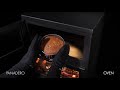 Oven Ecodesign poêle à bois 7,1kW | video 1