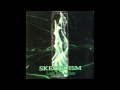 Skepticism - The Falls 