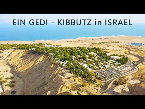 EIN GEDI is a KIBBUTZ on the western shore of the DEAD SEA in Israel