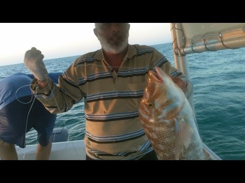 رحلة صيد سمك ( حداق ) شاكر محمود ومجموعته في سلطنة عمان - الجزء 3 و 4  (2012 و 2013)