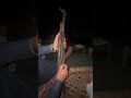 Ak47series Ak47firing Army Weddingfiring Ak47lovelife Ak47rifle Akm1975model Status