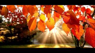 Crispian St Peters  -  Willingly