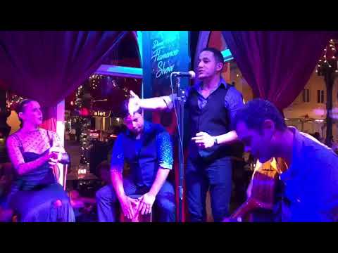 Una noche de amor (tangos)