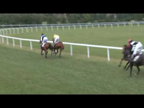 MI, 15. 7. 2017, 8. dostih - Cena firmy KM PRONA