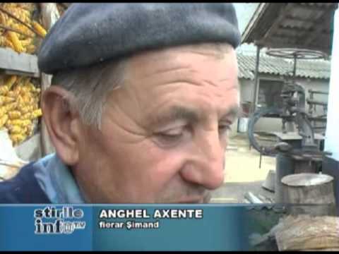 Anghel Axente - fierarul din Șimand, 2008