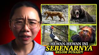 Download lagu Sembunyi di Hutan Rimba?! 10 Binatang Purba yang Ternyata Diperkirakan Masih Hidup di Tahun 2026! mp3 Download lagu Sembunyi di Hutan Rimba?! 10 Binatang Purba yang Ternyata Diperkirakan Masih Hidup di Tahun 2026! mp3