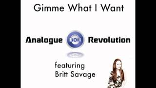 Gimme What I Want by Analogue Revolution feat. Britt Savage-Jersey Shore