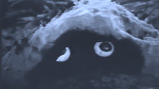 Cooking with Caustic ~ The Barnacle