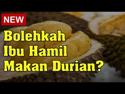 download lagu mp3 mp4 Tips Makan Durian Untuk Ibu Hamil, download lagu Tips Makan Durian Untuk Ibu Hamil gratis, unduh video klip Tips Makan Durian Untuk Ibu Hamil