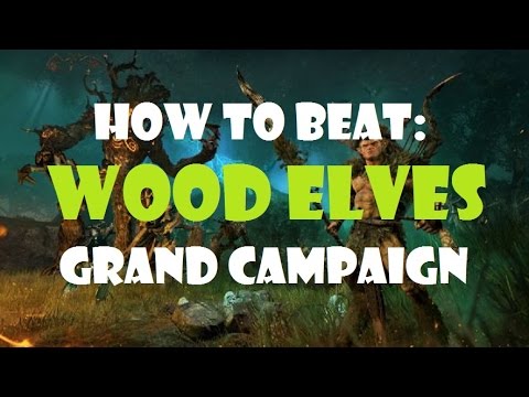 Wood Elves Grand Campaign (Very Hard) Strategy! — Total War Forums