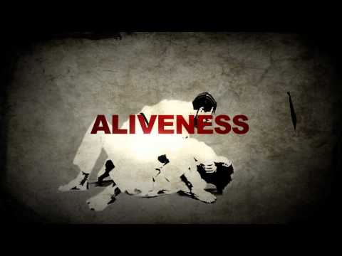 SBGi Aliveness - Straight Blast Gym International