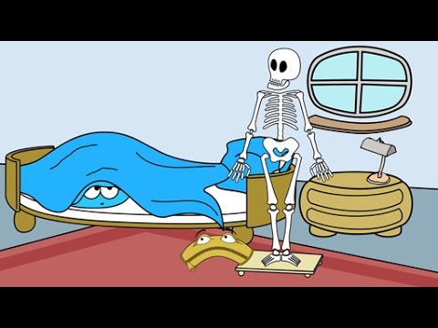 Human skeleton - School film on general knowledge