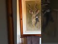 Mateya Private Lodge Madikwe Game Reserve South Africa