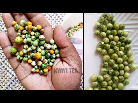 Wejanjabe Okuwunya ne Katunkuma nga Mubisi Ogenda Kutelera Obutula Obutono