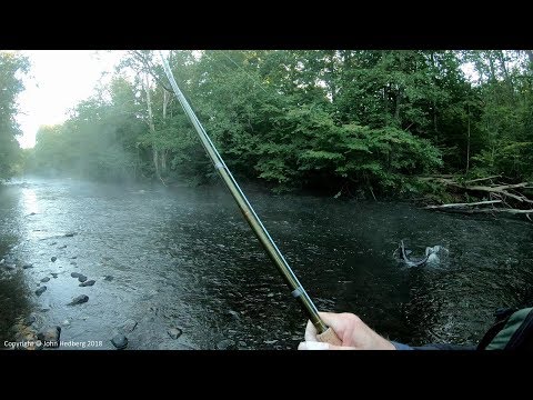 Fly fishing for big salmon - Early Morning Awakening