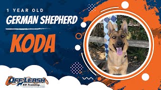 Download Lagu Best German Shepherd Dog Training | Central Coast, CA | Koda Thumbnail