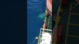 Download lagu offshore life bintulu platform mp3