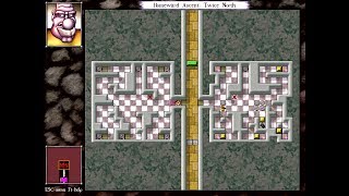DROD: The City Beneath - Episode 6: Sokoban