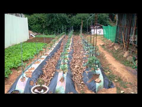 너에게로 또 다시 변진섭2집