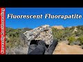 Three Peaks Magnetite & Fluorapatite Crystals // Rockhounding Utah