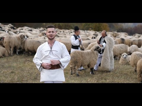 Ovidiu Taran - Io-s cioban de vita buna ( Video Oficial )