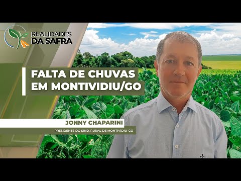 Irregularidade climática já impacta desenvolvimento da safra de soja em  Montividiu/GO