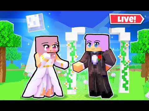 ???? LIVE I UNSERE HOCHZEIT I Youtuber Insel