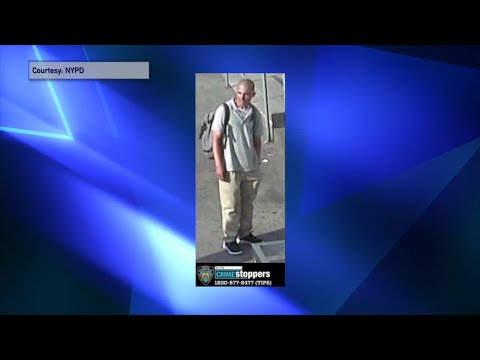 NYPD Seeking Subway Attackers