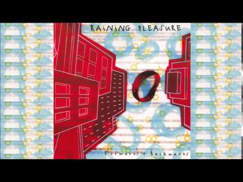 Identical Twins - Raining Pleasure