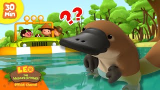 Download lagu HOME OF THE PLATYPUS?! 🏠 | Webbed Feet Animals | Leo the Wildlife Ranger | Kids Cartoons mp3