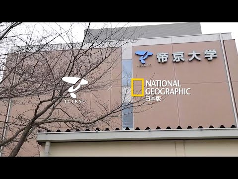 日本文化学科 【帝京大学 ✕ ナショジオ コラボ動画】理工学部機械・精密システム工学科 井上秀明 教授の研究紹介「自動運転パーソナルモビリティで地域の人びとの健康に貢献する」